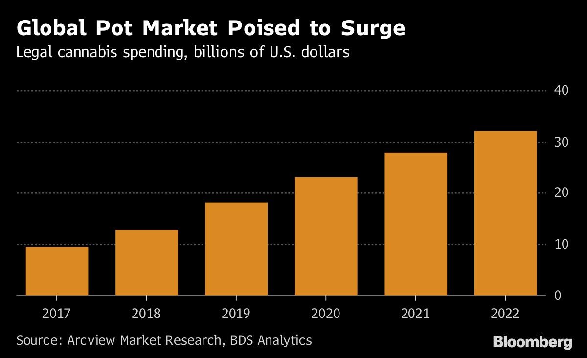 Global Pot Market Poised to Surge