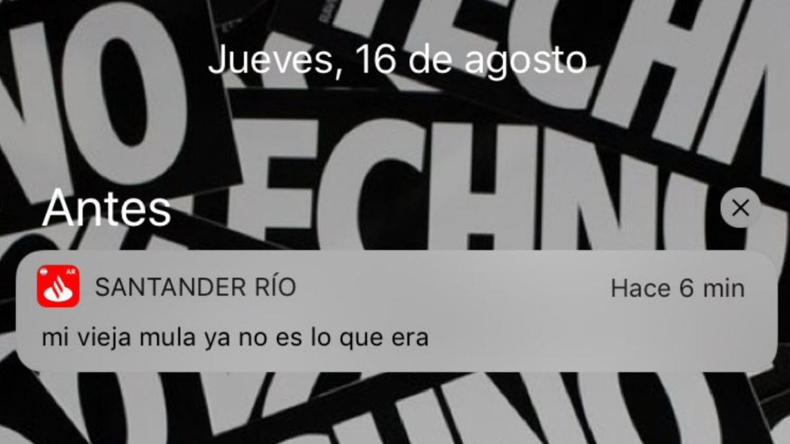 Mi vieja mula ya no es lo que era\