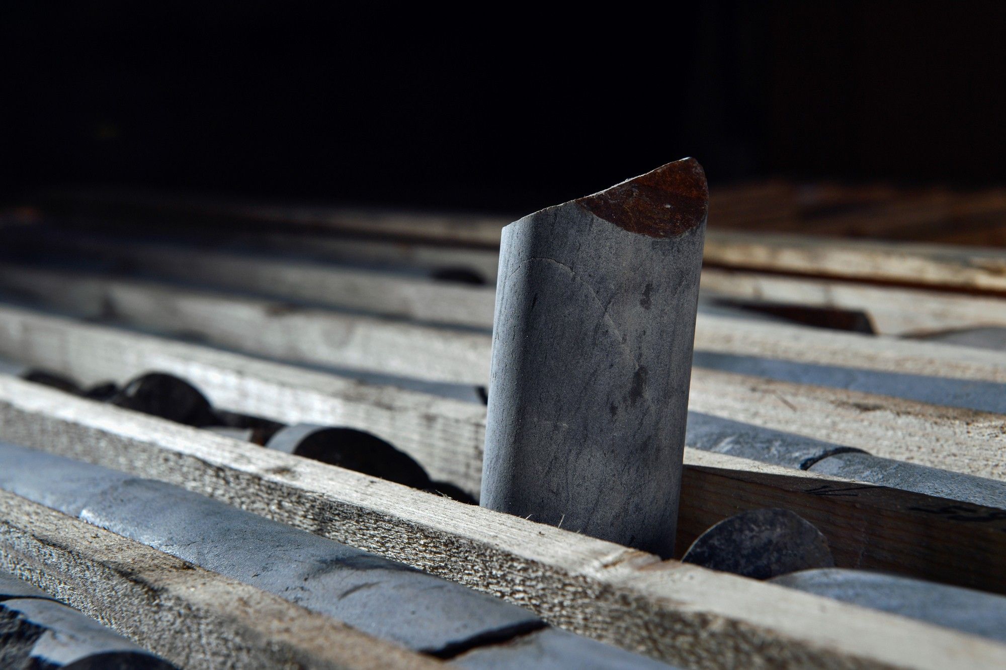 Battery Metals Newest Craze at Library Full of Ancient Rocks