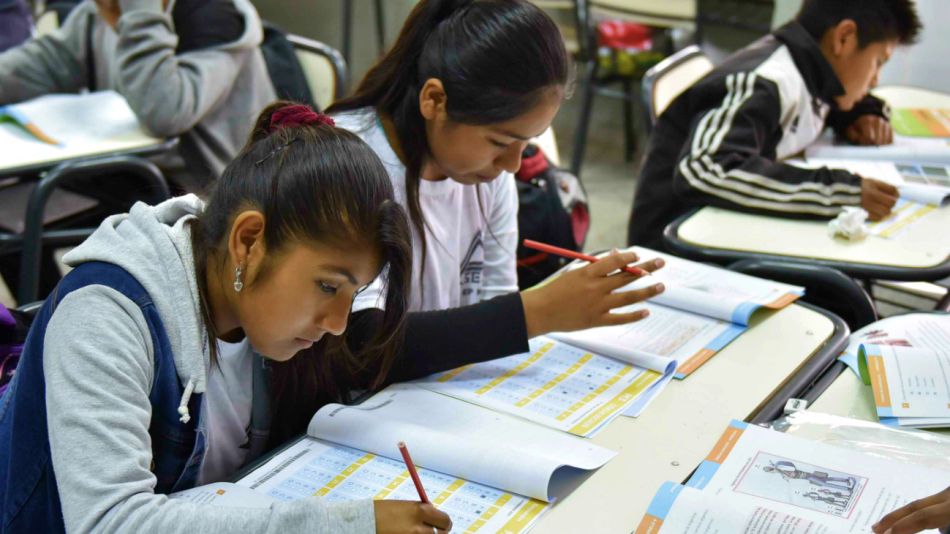 educacion columinista