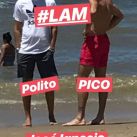 Icrdeada_Polito_Pico