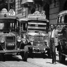 colectivos-portenos