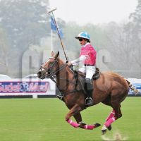 cambiaso-polo-3
