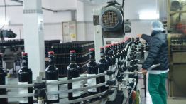 Con una inversión de 2 millones de euros, se renovó la línea de envasado que posibilitó optimizar la cantidad de botellas. 