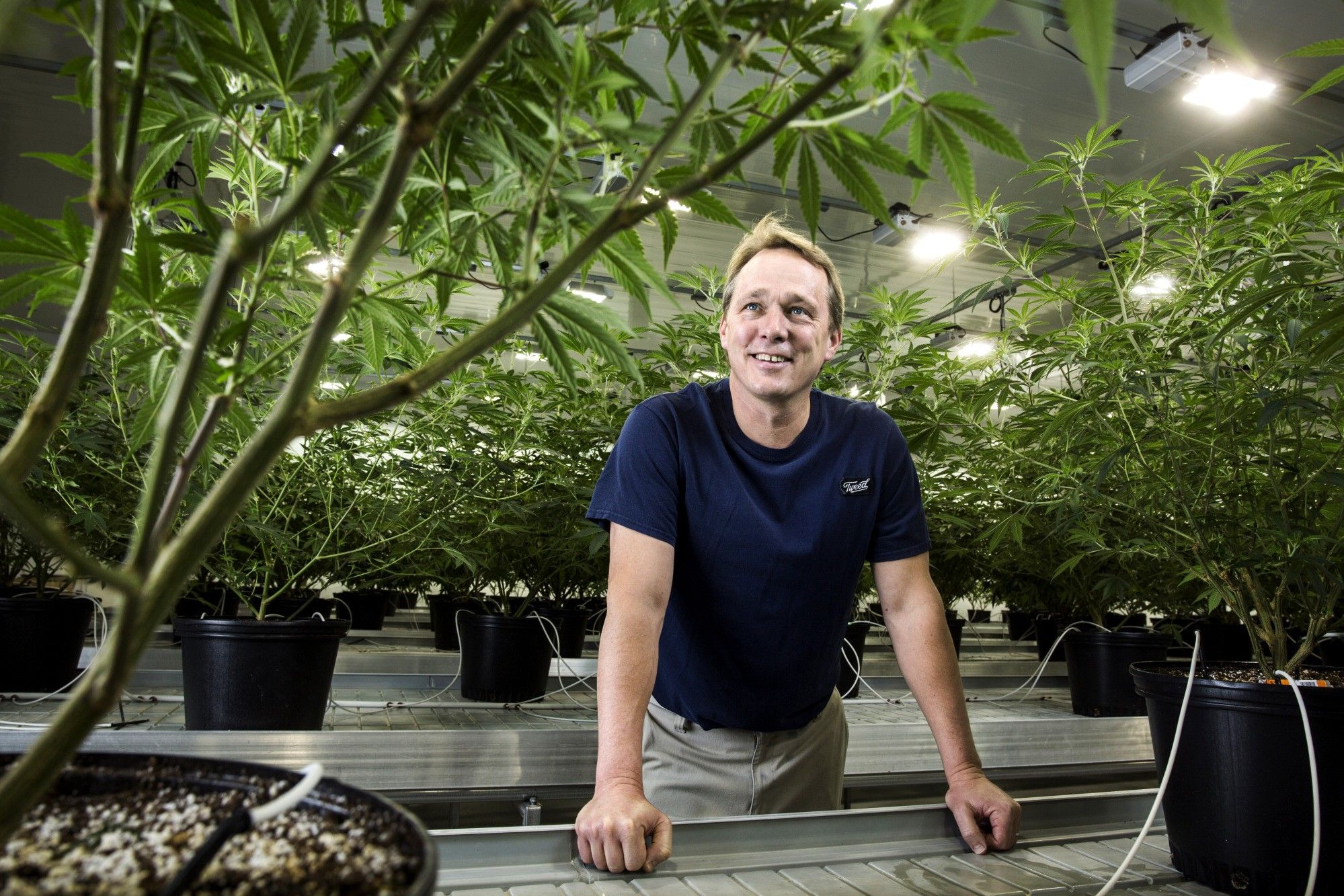 Inside The Canopy Growth Corp. Facility As Pot Growers Eye Global Expansion