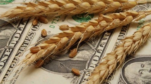 GRANOS RETENIDOS. Los productores agropecuarios tienen sin vender unas 33 millones de toneladas por un valor de US$7.935 millones, que mejoró considerablemente gracias a la última devaluación.