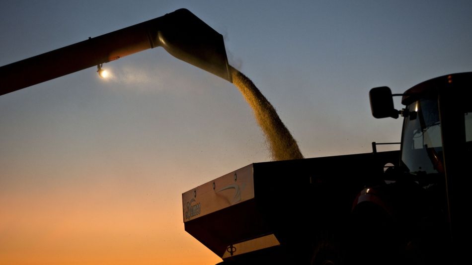 Trump Trade Spat May See Top Soy Exporter Brazil Turn to Imports