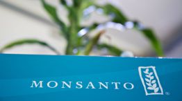 Monsanto 20180927