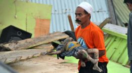 La isla indonesa de Célebes vive horas desesperadas.