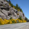dia-del-camino-5-octubre-2018