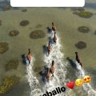 1001_Candelaria_Tinelli_5