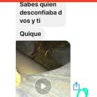 1025_Ciccioli_Chats_G1