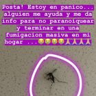 1610_Paula_Chaves_3