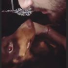 Nicolas Occhiato_Flor Vigna_Panchito (3)