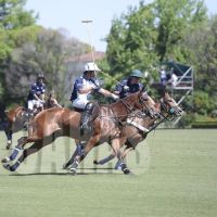 picomonaco14