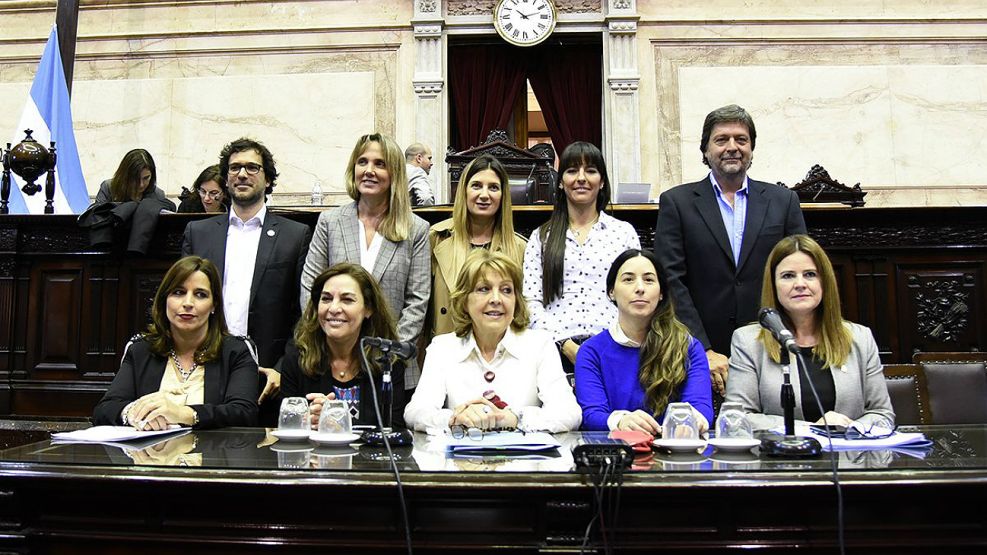 Comisión Bicameral encargada de elegir al Defensor del Niño.