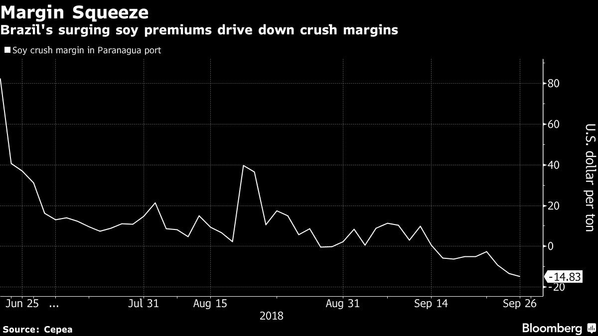 Brazil's surging soy premiums drive down crush margins