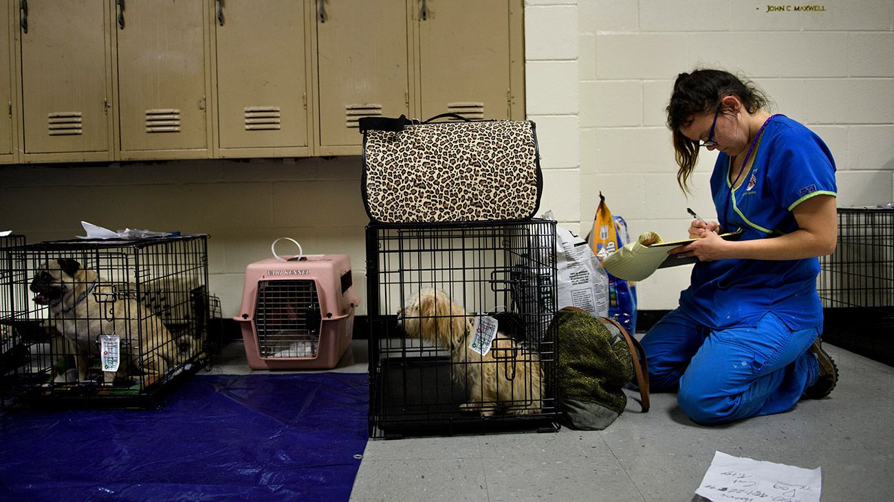 El fenómeno de categoría 4 -en una escala de 5- podría incluso intensificarse en su recorrido sobre el Golfo de México.