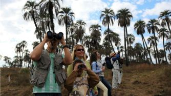 Viaje en el tiempo entre palmeras: la Calera de Barquín