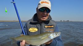 Ofrece flechas de plata en calidad y cantidad. Claves para disfrutar de una salida a puro pique.