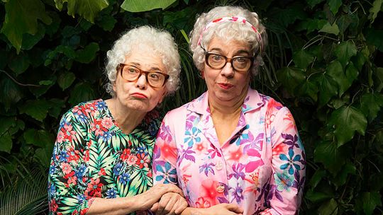 Manuel Puig. Cae la noche tropical, versión escénica de la novela de Manuel Puig, se verá en el Teatro San Martín.