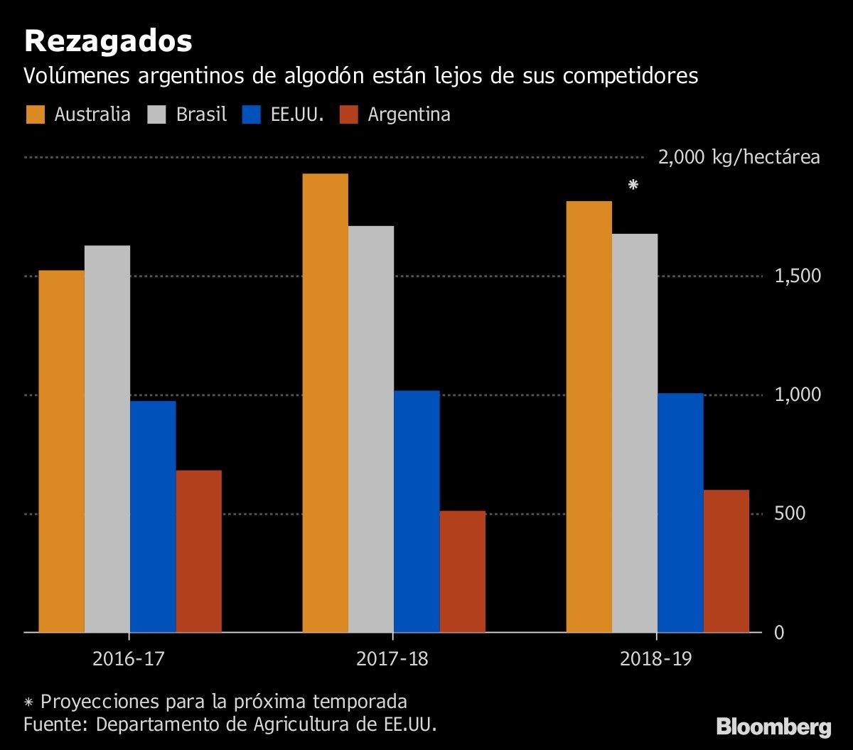 Rezagados