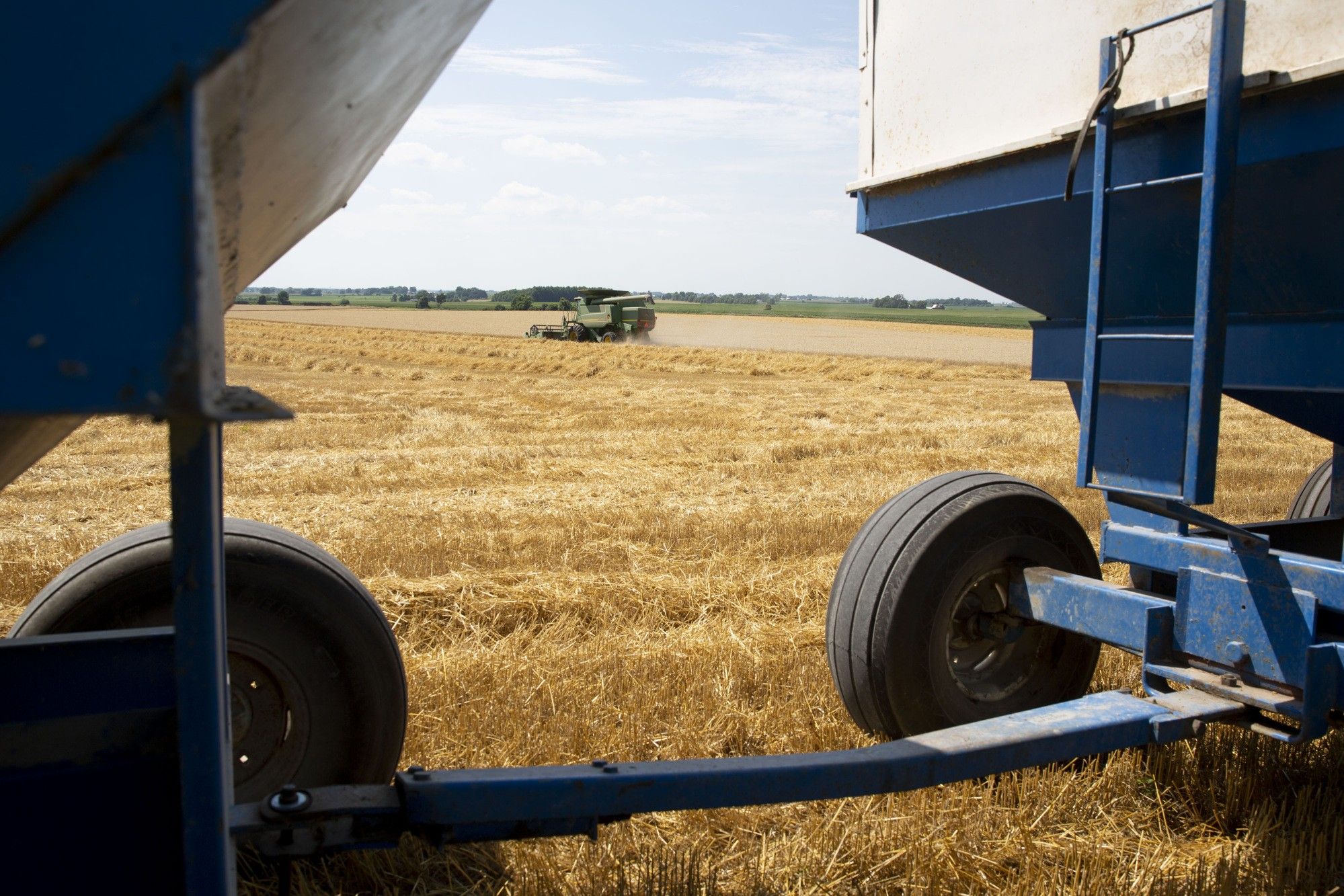 As Cost of Trade War Grows, Farmers Remain With Trump—For Now