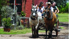 Desde Pilar hasta Solís, hay un tramo en el que se puede disfrutar de restaurantes de campo, vuelos en globo, estancias y hasta apreciar un predio en homenaje a las Malvinas, entre otras propuestas.