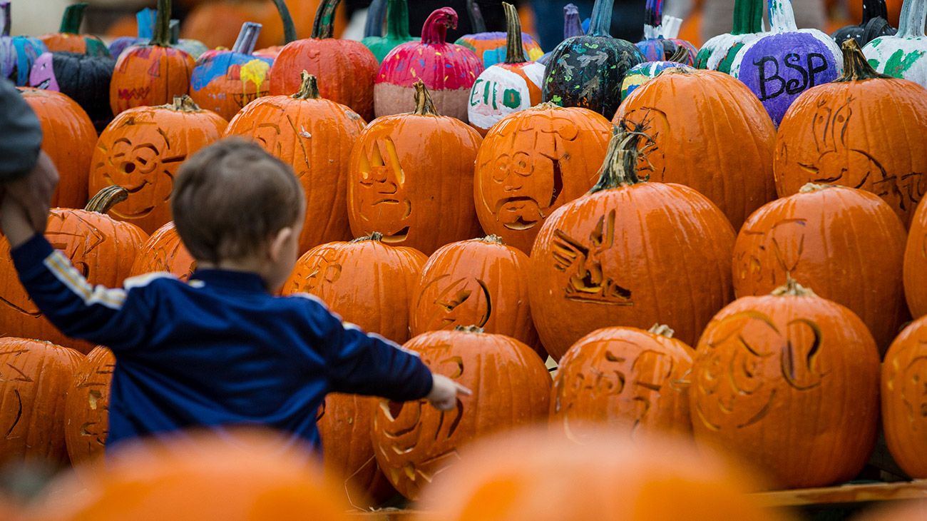 Las calabazas son características de los festejos de Halloween.