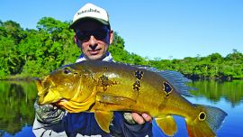 Donde el mapa político del Amazonas se parte en tres provincias, pescamos bicudas, cachorras, tucunarés y aruanás con artificiales. El spinning, muy destacado.