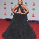 the-19th-annual-latin-grammy-awards-red-carpet