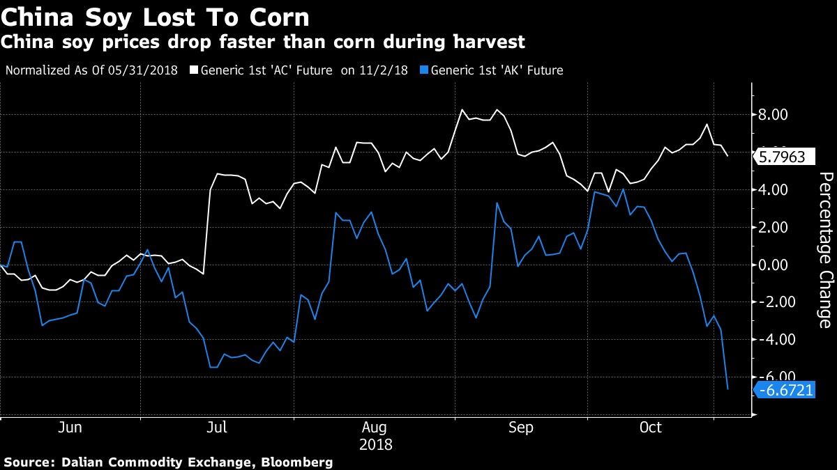 China soy prices drop faster than corn during harvest