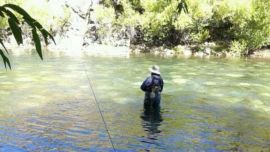 Pesca de truchas en Villa Pehuenia.