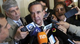El jefe de la bancada del PJ en el Senado, Miguel Ángel Pichetto.