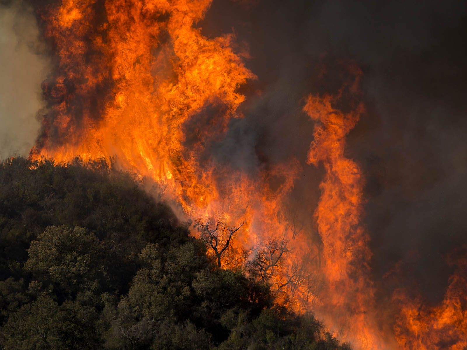 California sufre el incendio más mortífero de su historia Perfil