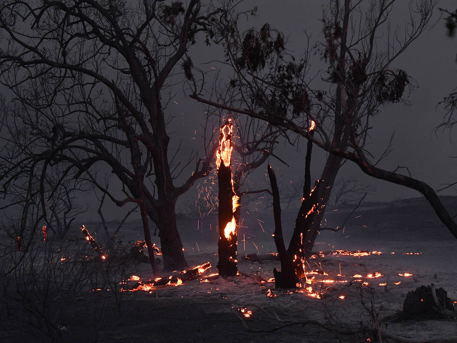 Incendios masivos en Estados Unidos.