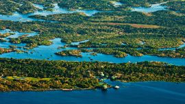 Está en el río Negro, un importante afluente del Amazonas. Se compone de siete torres interconectadas por 8 km de pasarelas entre la copa los árboles y sobre el río.