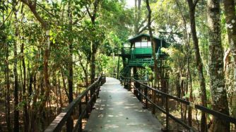 Un gran hotel en la selva