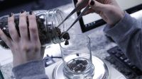 bloomberg banco marihuana