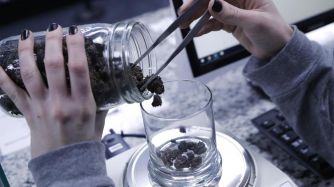 bloomberg banco marihuana