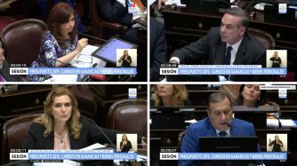voto senadores presupuesto