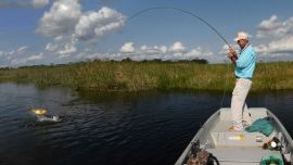 1116_Piques con cielos azules y dorados negros