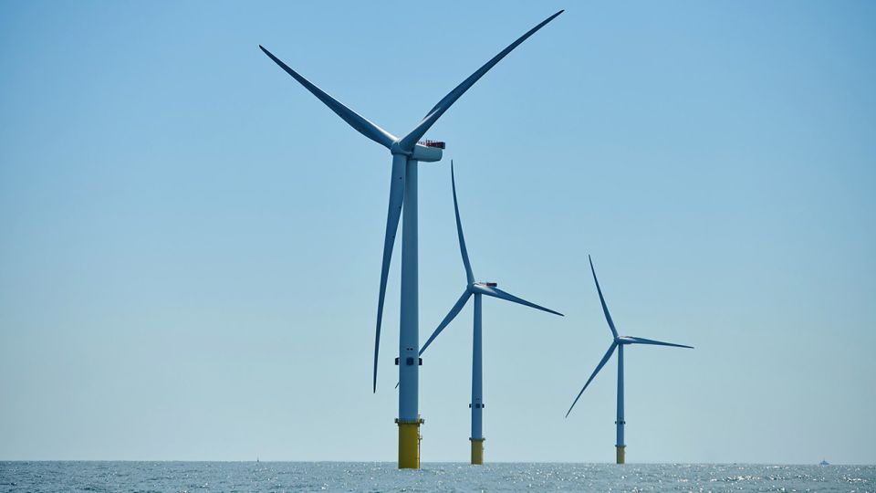 La energía eólica y la solar se abarataron tanto que otras formas de energía renovable quedaron relegadas a los laboratorios de ciencia y al olvido.