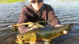 En la zona de las lagunas De Gómez y El Carpincho, Junín, relevamos pequeños espejos de agua muy poco frecuentados, y logramos combativos ejemplares con señuelos y moscas.