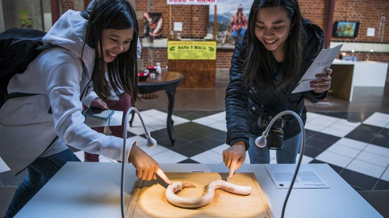 Los visitantes tocan el "pene de toro" de China presentado en el Museo de comida asquerosa el 7 de noviembre de 2018 en Malmo, Suecia. 