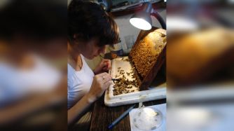 20121205_1362_ciencia_CP34 CEDOC