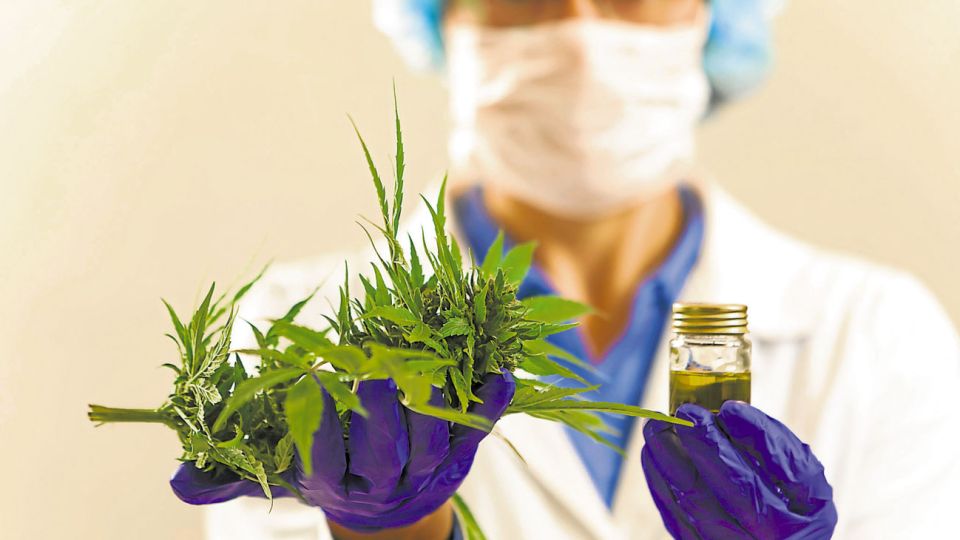 Conocimiento. El programa busca brindar a la población un medicamento seguro y eficaz.
