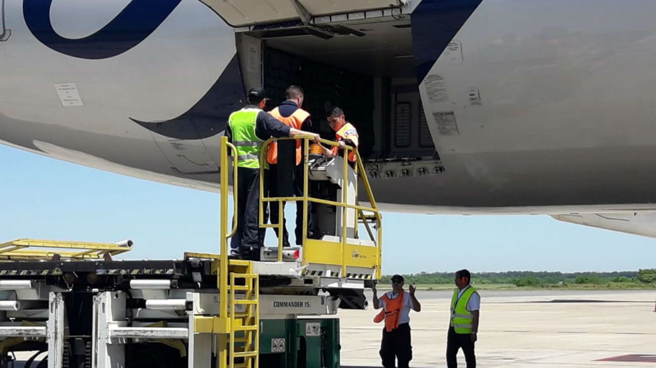 Fuerzas de seguridad civiles y militares se preparan para reemplazar a trabajadores en puntos críticos de la logística aeronáutica.