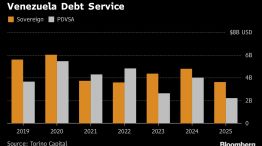 Venezuela Debt Service