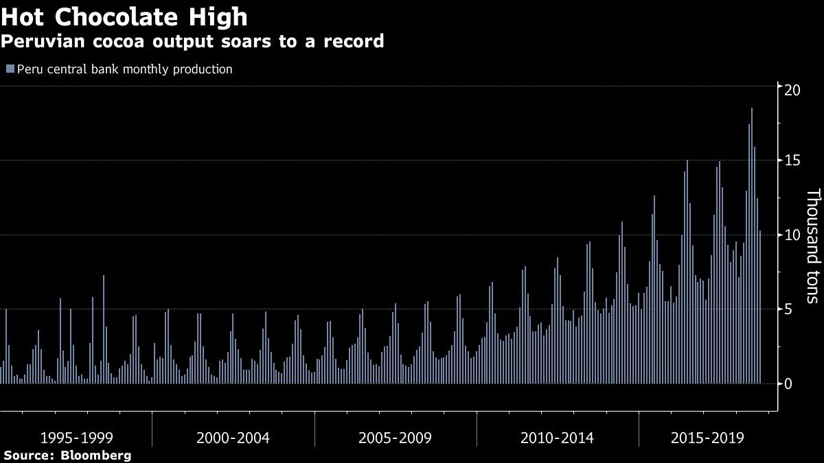 Peruvian cocoa output soars to a record